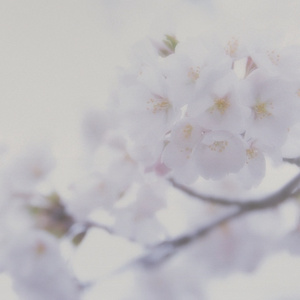 领导一晚上弄了我三次
