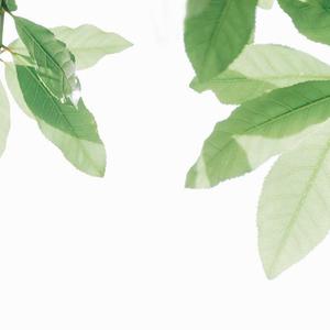 领导一晚上弄了我三次
